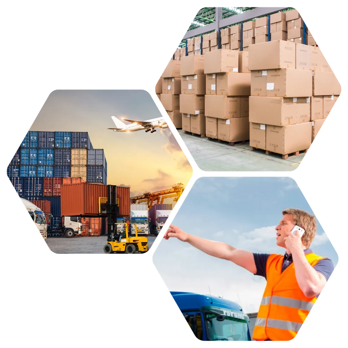 Warehouse, port logistics and freight operator